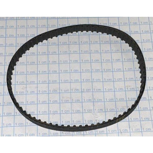 Belt F/Galkin - Generic #CB314
