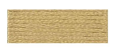DMC Embroidery Floss 8.7yd 12ct Light Hazelnut Brown