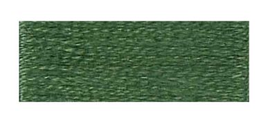 DMC Embroidery Floss 8.7yd 12ct Dark Fern Green