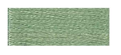 DMC Embroidery Floss 8.7yd 12ct Fern Green