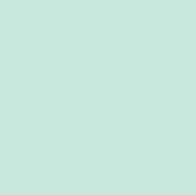 Robison-Anton Super Strength 40wt 1100yd Light Blue