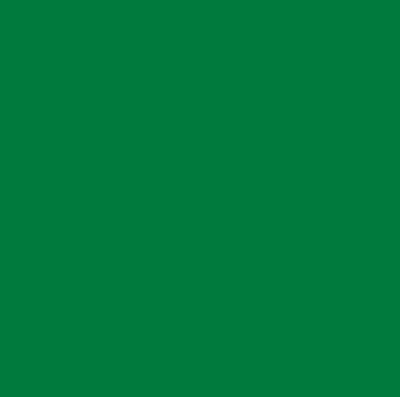 Robison-Anton Super Strength 40wt 1100yd Kelly Green