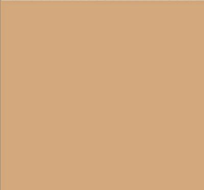Robison-Anton Super Strength 40wt 1100yd Tan