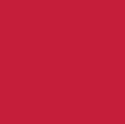 Robison-Anton Super Strength 40wt 1100yd Devil Red
