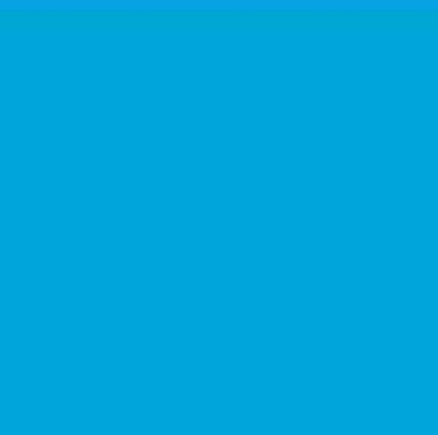 Robison-Anton Super Strength 40wt 1100yd Surf Blue