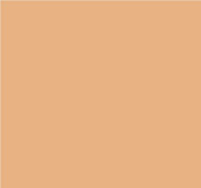 Robison-Anton Super Brite 40wt 1100yd Gold