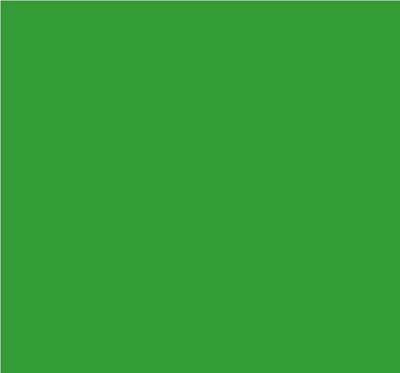Robison-Anton Super Brite 40wt 1100yd Emerald