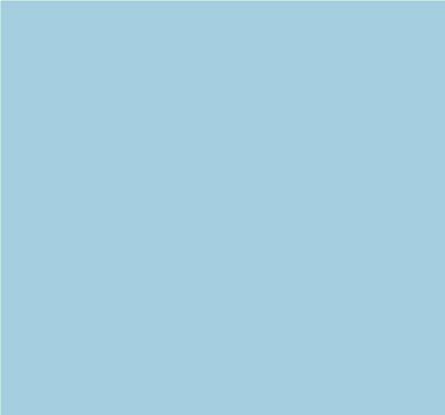 Robison-Anton Super Brite 40wt 1100yd Sky Blue