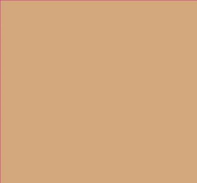 Robison-Anton Super Brite 40wt 1100yd Tan