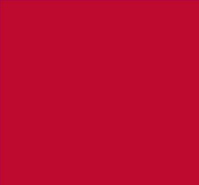 Robison-Anton Super Brite 40wt 1100yd Jockey Red
