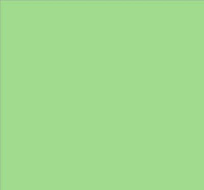 Robison-Anton Super Brite 40wt 1100yd Green Oak