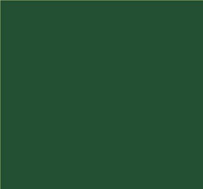 Robison-Anton Super Brite 40wt 1100yd Holly