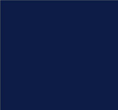 Robison-Anton Super Brite 40wt 1100yd Midnight Navy