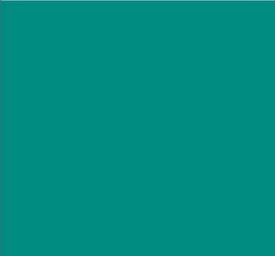 Robison-Anton Super Brite 40wt 1100yd Pine Green