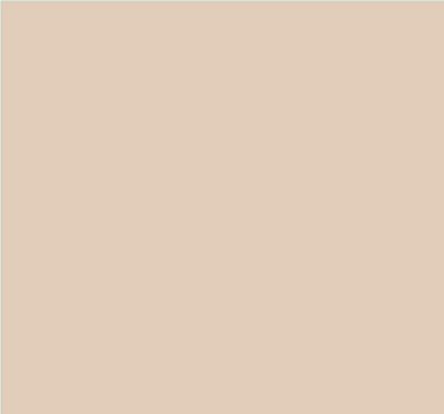 Robison-Anton Super Brite 40wt 1100yd Oyster