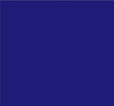 Robison-Anton Super Brite 40wt 1100yd Fire Blue