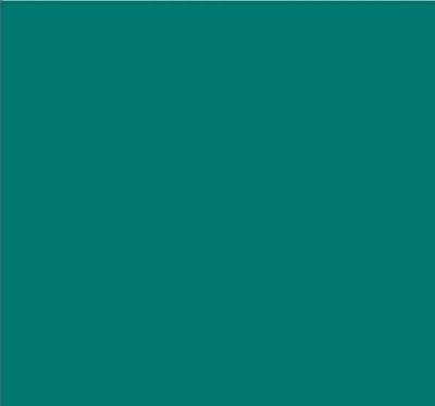 Robison-Anton Super Brite 40wt 1100yd Fern Stone