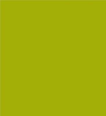 Robison-Anton Super Brite 40wt 1100yd Peapod