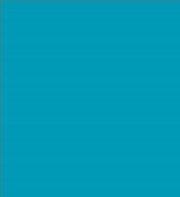 Robison-Anton Super Brite 40wt 1100yd Mallard Blue