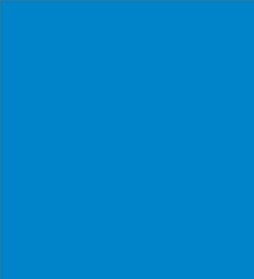 Robison-Anton Super Brite 40wt 1100yd China Blue