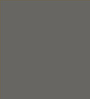 Robison-Anton Super Brite 40wt 1100yd Aged Charcoal