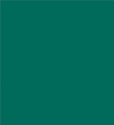 Robison-Anton Super Brite 40wt 1100yd TH Green