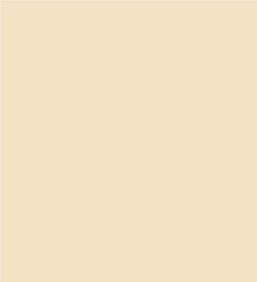Robison-Anton Super Brite 40wt 1100yd Ice Ballet