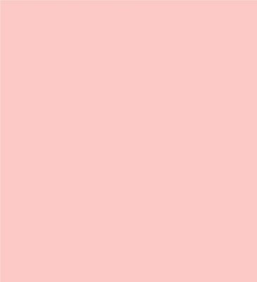 Robison-Anton Super Brite 40wt 1100yd Pink Joy