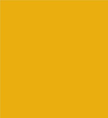 Robison-Anton Super Brite 40wt 1100yd Golden Chair