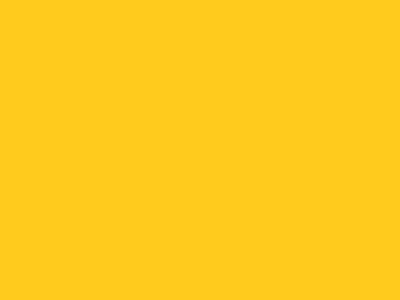 Robison-Anton Super Brite 40wt 1100yd Havana Yellow