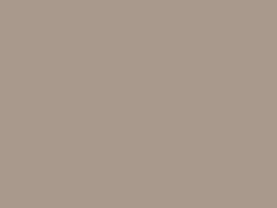 Robison-Anton Super Brite 40wt 1100yd Turkish Tan