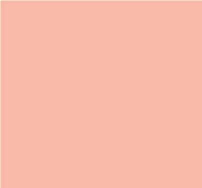 Robison-Anton Super Brite 40wt 5500yd- Flesh Pink