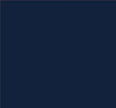 Robison-Anton Super Brite 40wt 5500yd- Lt Navy