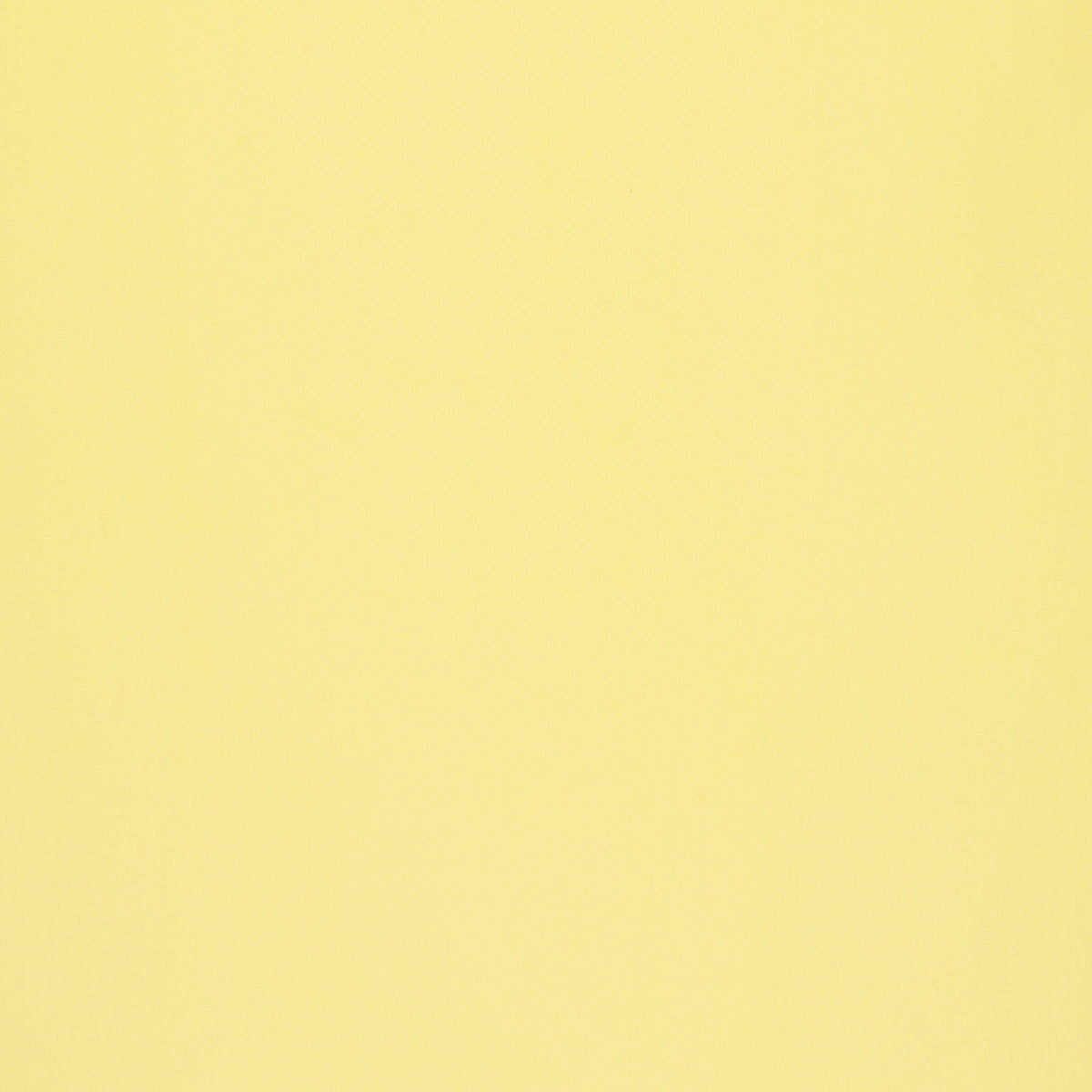 Solid Minky 108" Wide Quilt Backing - Butter