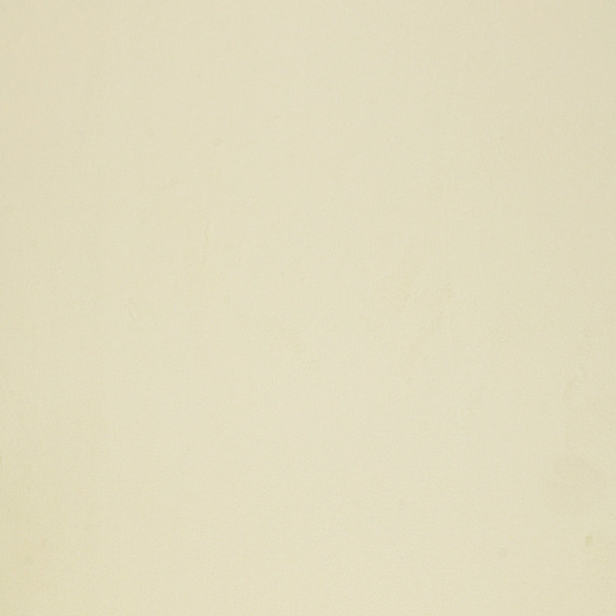Solid Minky 108" Wide Quilt Backing - Cream