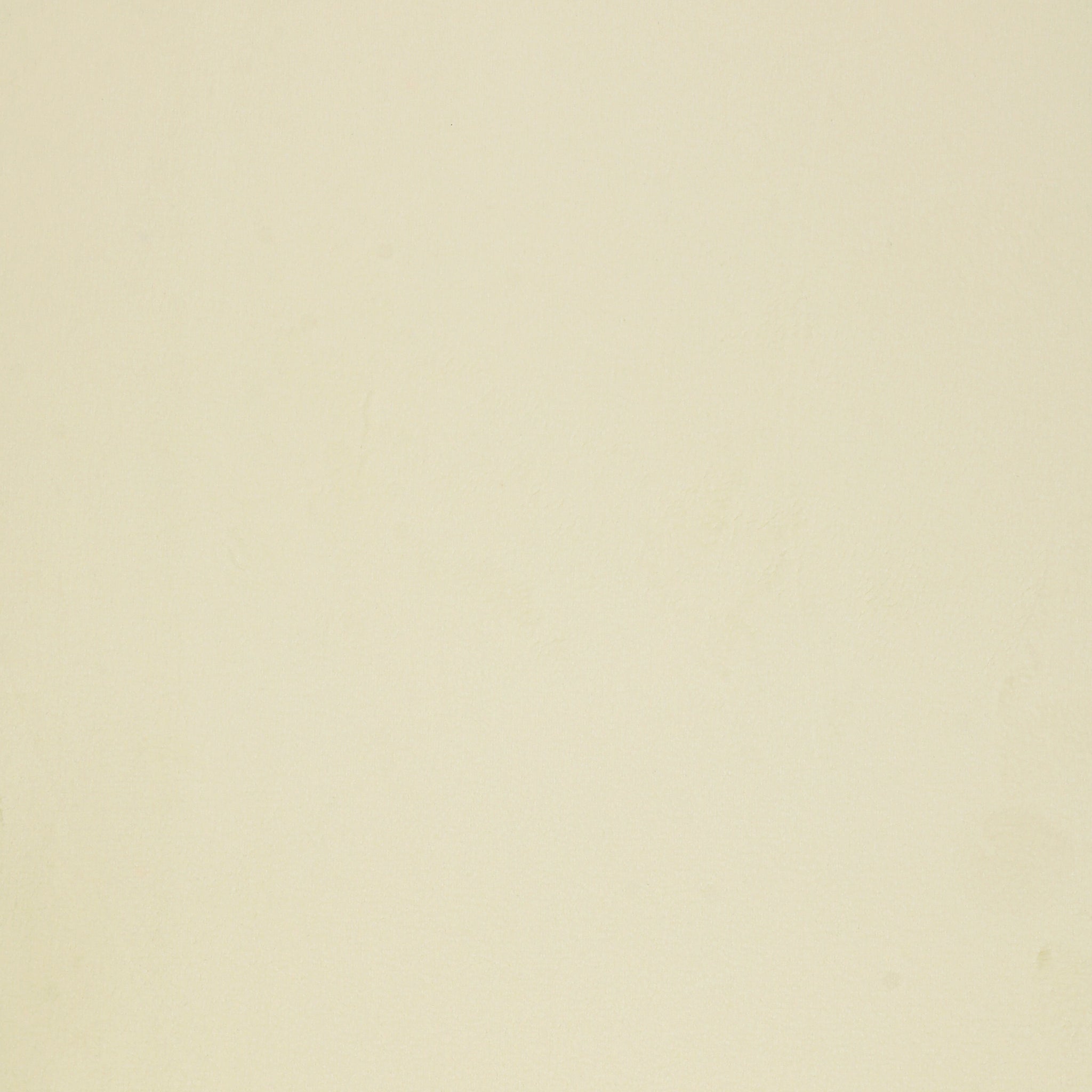 Solid Minky 108" Wide Quilt Backing - Cream