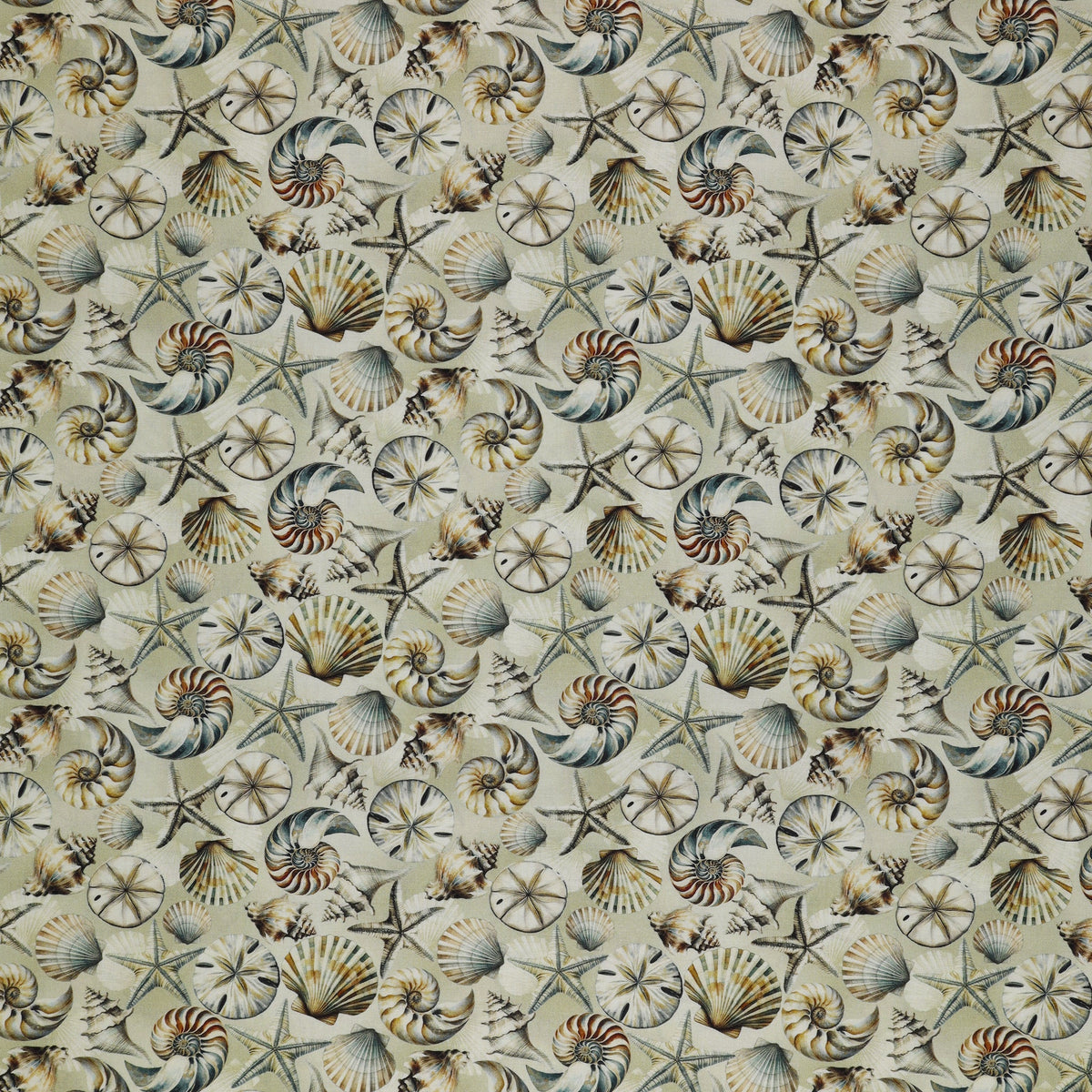 Coastal Escape Fabric Collection - Coastal Shells Neutral