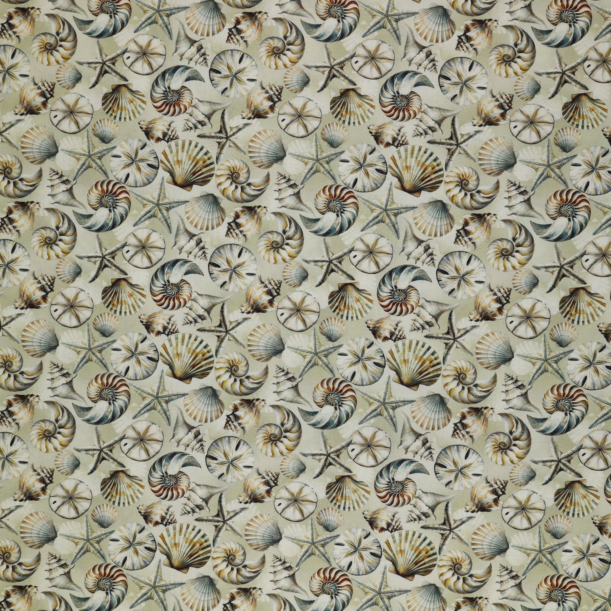 Coastal Escape Fabric Collection - Coastal Shells Neutral