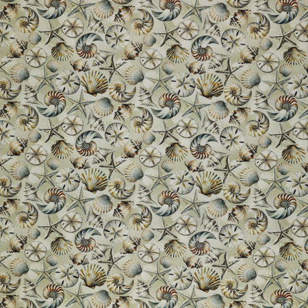 Coastal Escape Fabric Collection - Coastal Shells Neutral