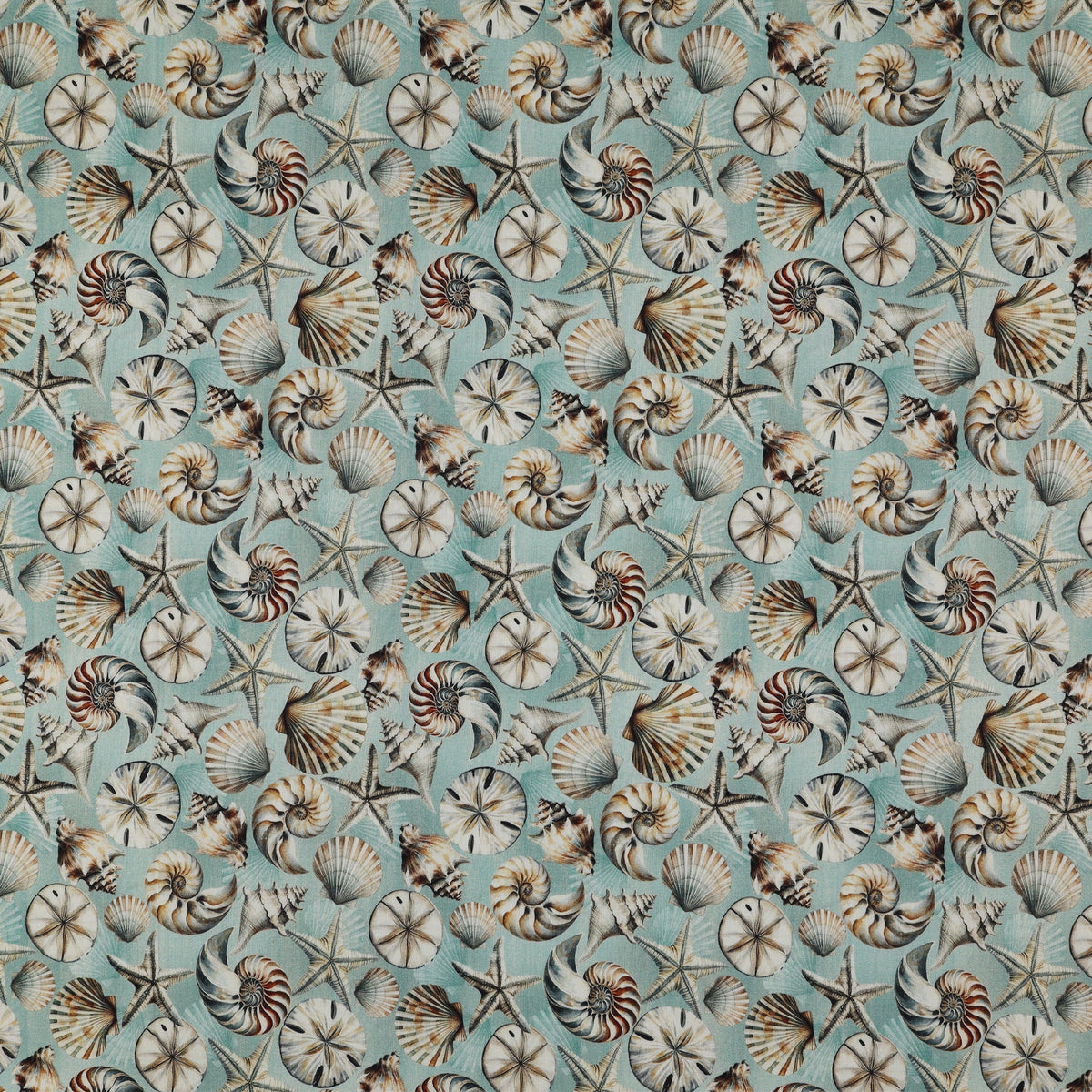 Coastal Escape Fabric Collection - Coastal Shells Ocean