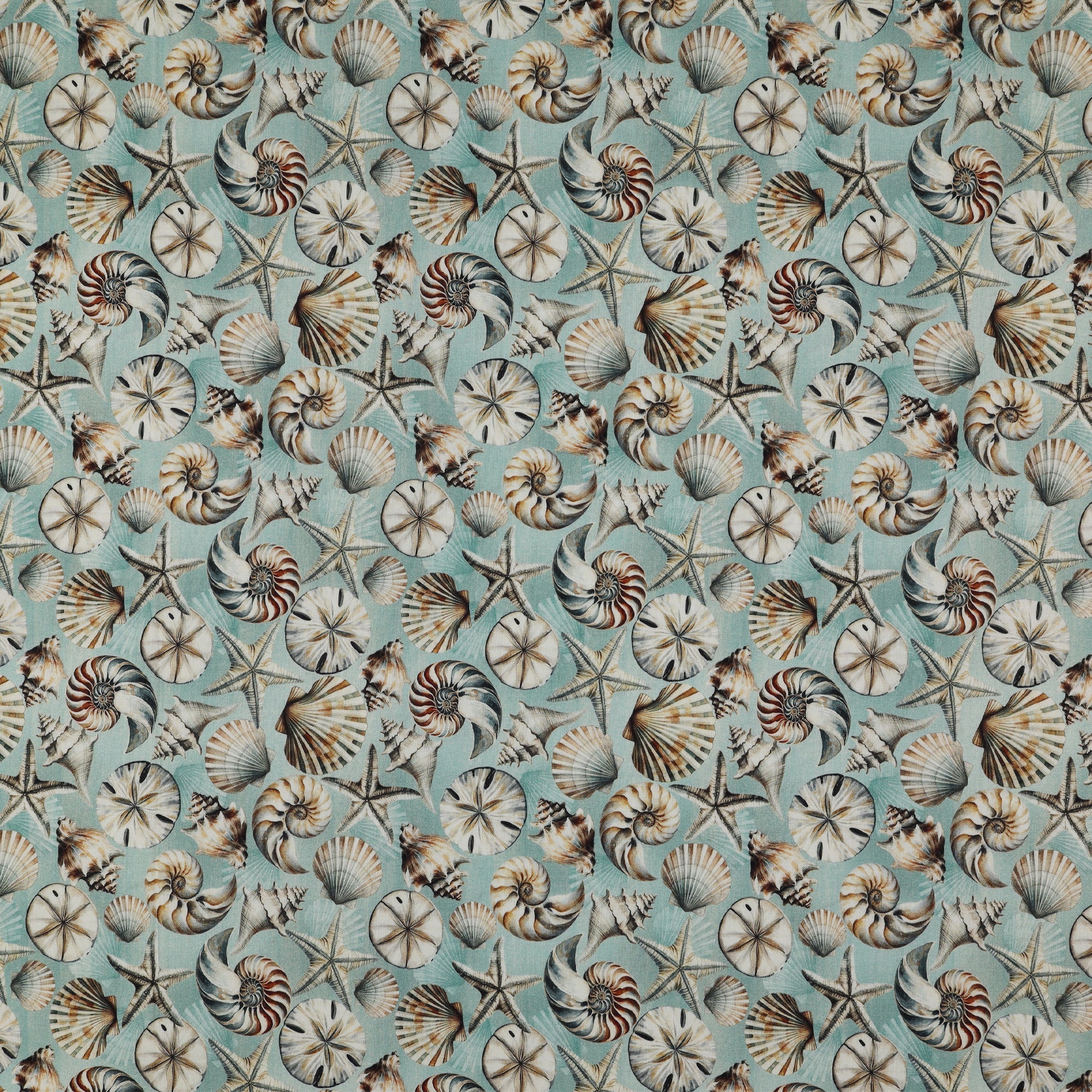 Coastal Escape Fabric Collection - Coastal Shells Ocean