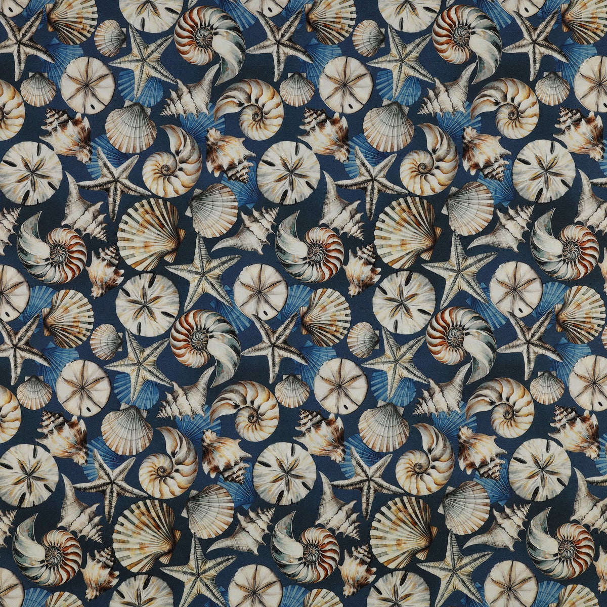 Coastal Escape 108" Wide Quilt Backing - Seashell Serenade Blue