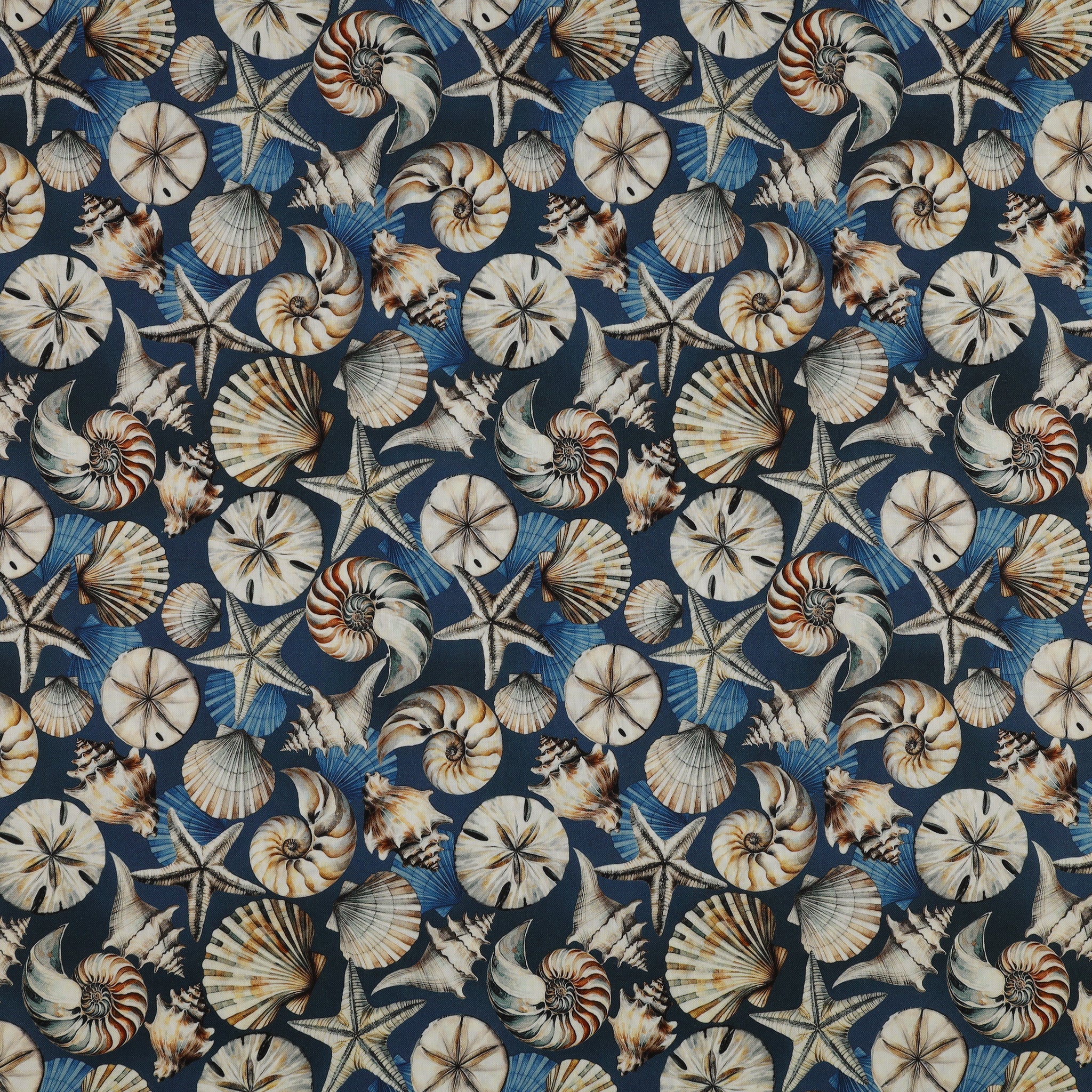 Coastal Escape 108" Wide Quilt Backing - Seashell Serenade Blue