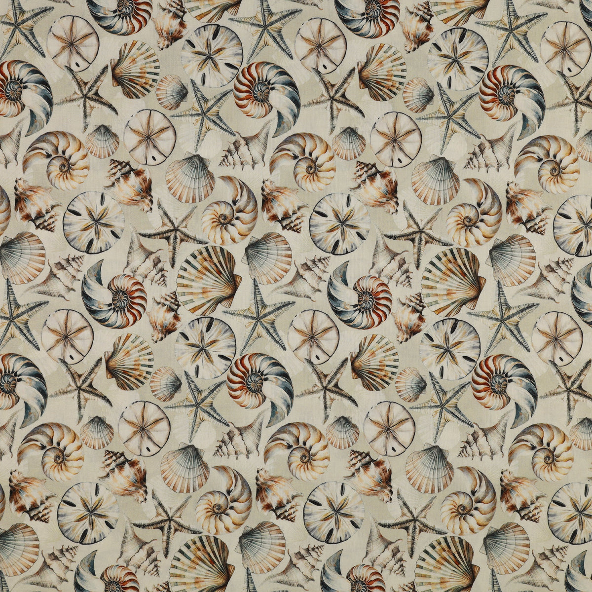 Coastal Escape 108" Wide Quilt Backing - Seashell Serenade Neutral