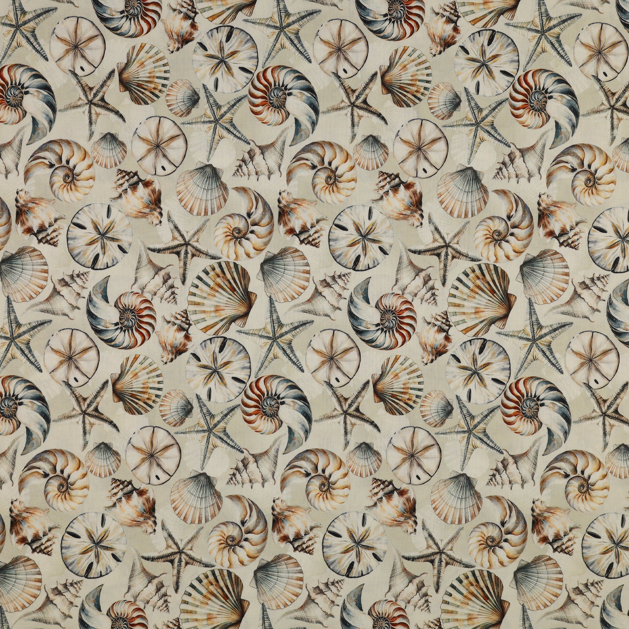 Coastal Escape 108" Wide Quilt Backing - Seashell Serenade Neutral
