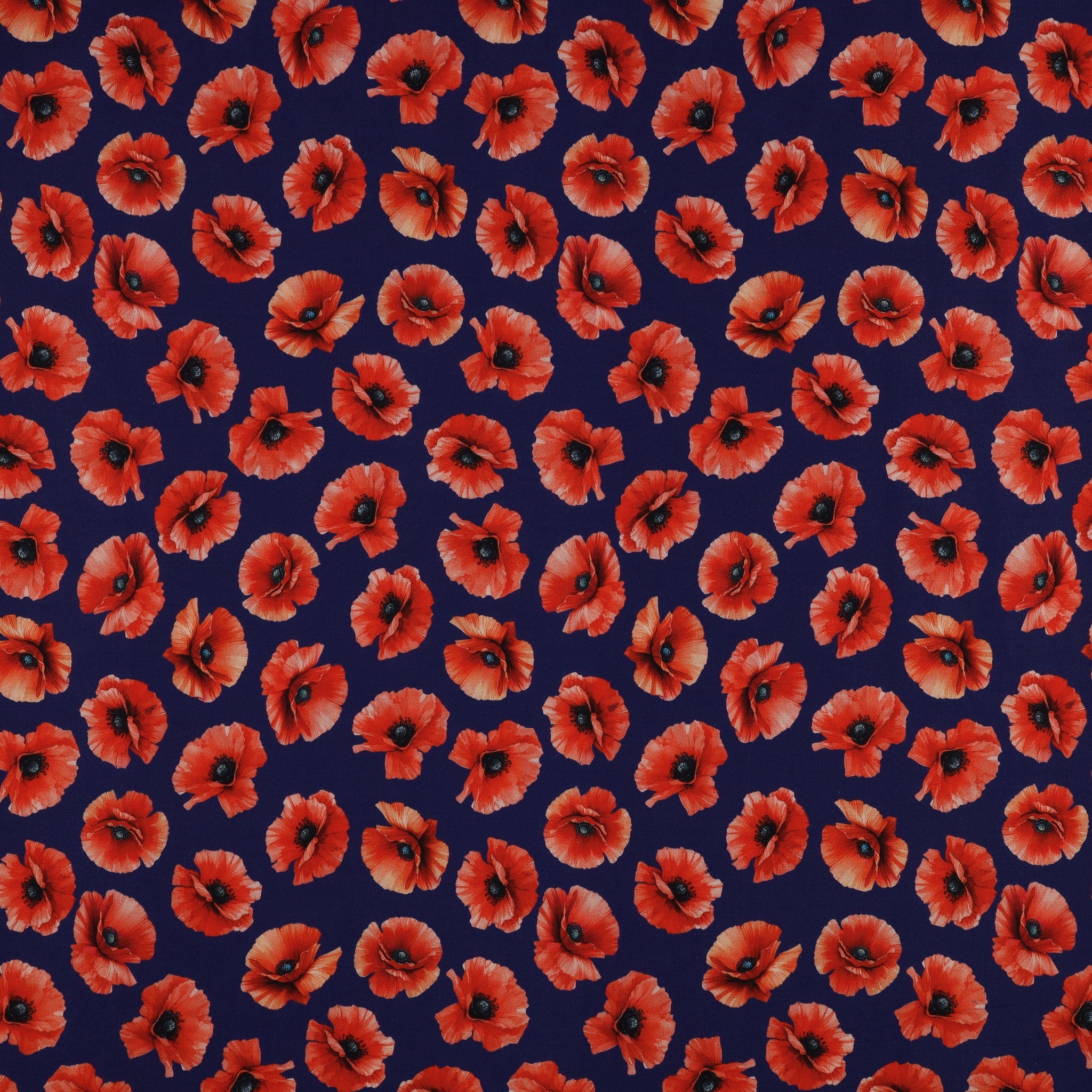 Red, White & Sweet Fabric Collection - Pretty Poppies Navy
