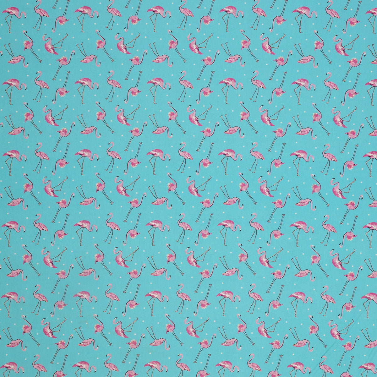 Tropical Splash Fabric Collection - Flamingo Friends Blue