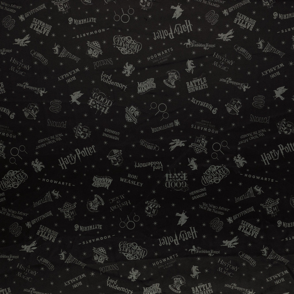 Harry Potter Fabric Collection - Shadow Words in Minkee