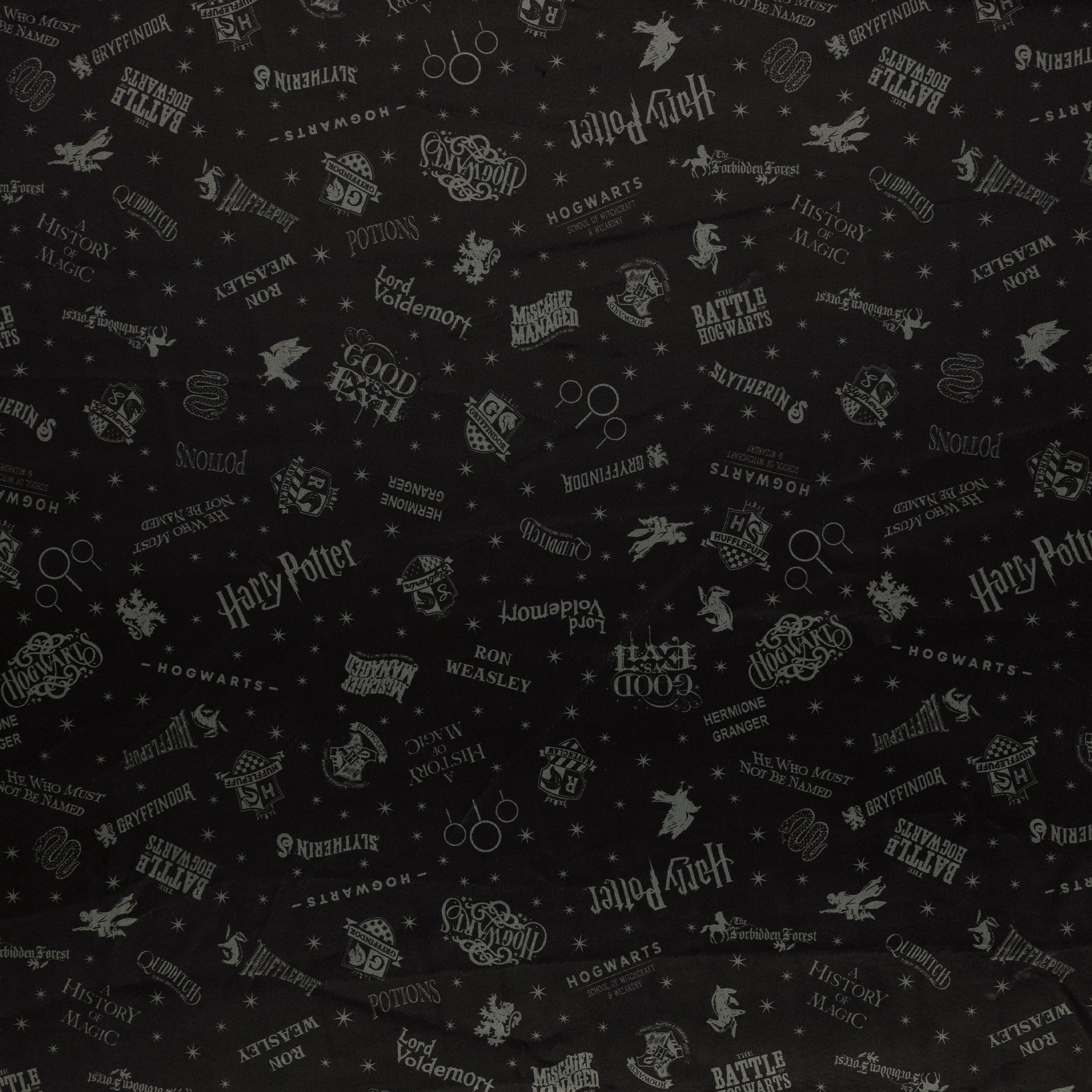 Harry Potter Fabric Collection - Shadow Words in Minkee