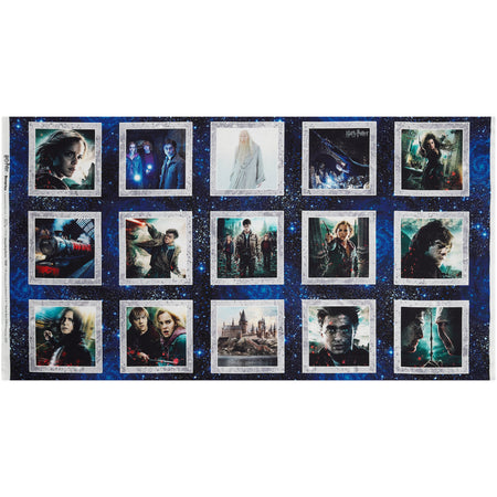 Harry Potter Fabric Collection - Wizarding Boxes Panel